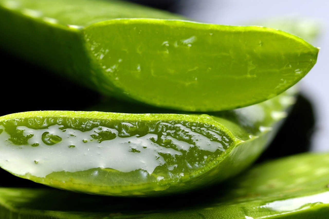 aloe vera health benefits in hindi