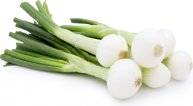 10 Benefits of Green Onions