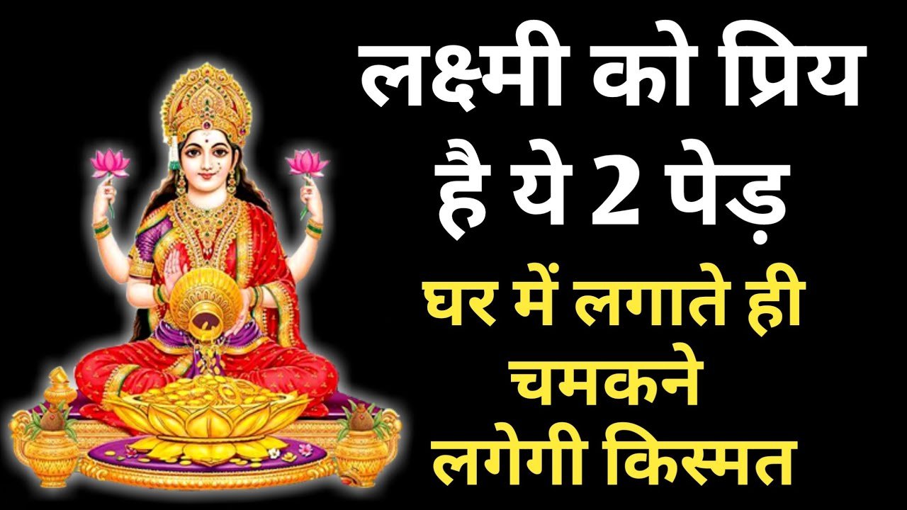 maa laxmi ji